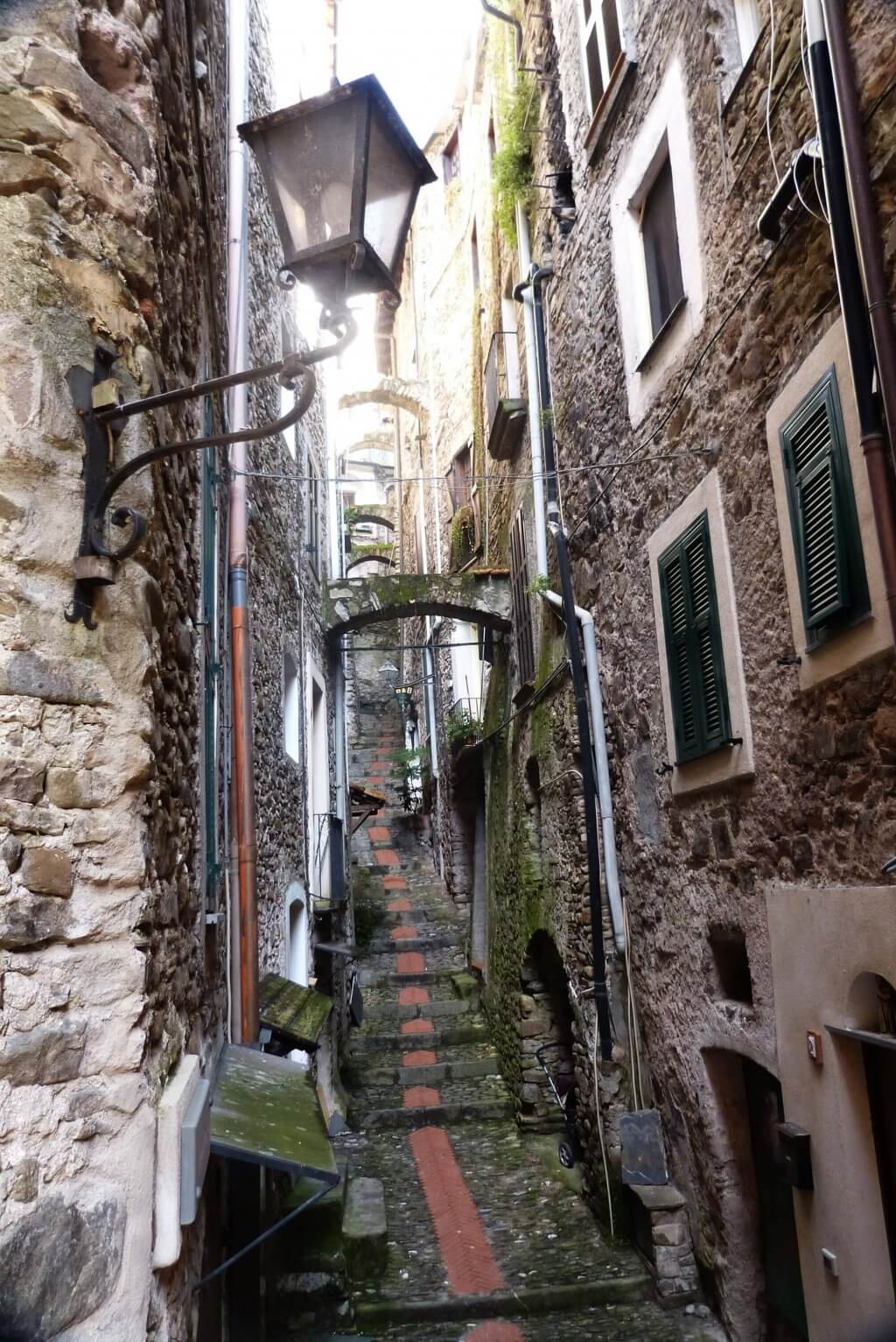 Cervo