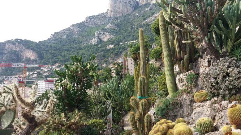 Im exotischen Garten