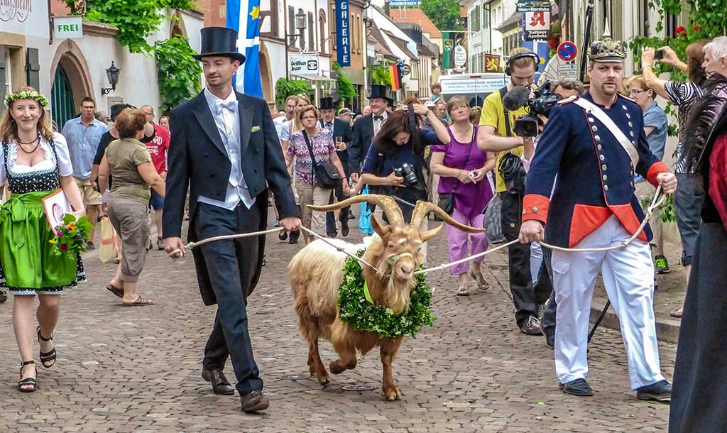 05 der Geissbock kommt