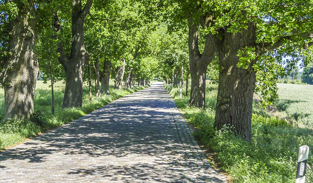 Allenstrasse