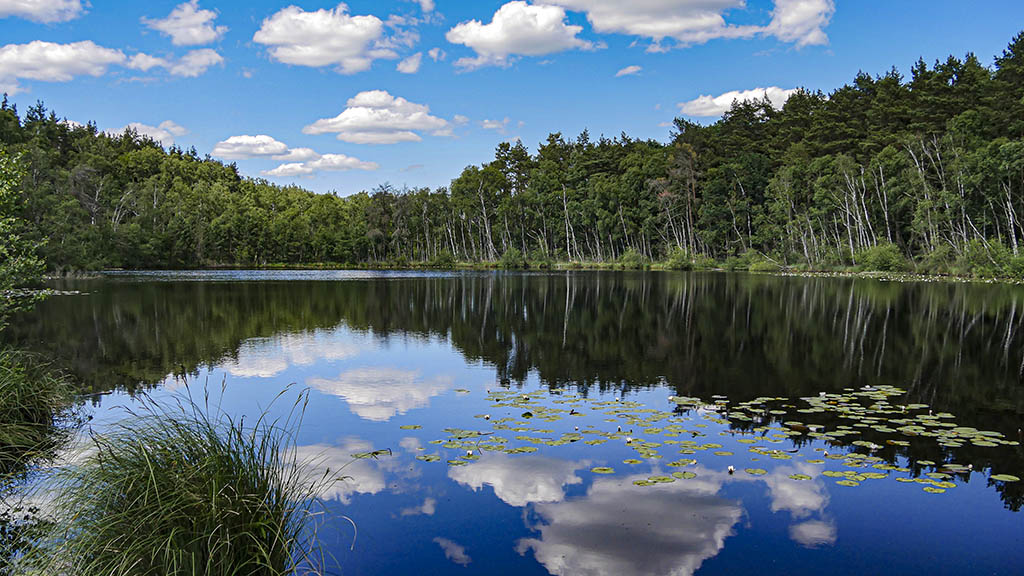 116 Nationalpark Müritz (2)